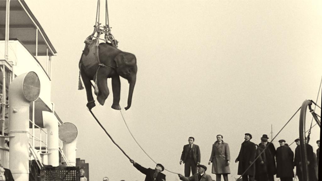 03_Soundtrack to a Coup d'Etat_Johan Grimonprez_Elephant Cargo ©Grandfilm_British Pathé.jpg